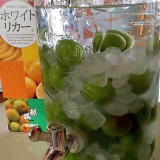 我が家の基本の自家製梅酒